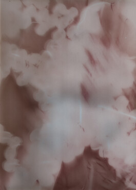 Gedvilė Tamošiūnaitė