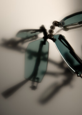 Gedvilė Tamošiūnaitė