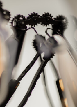 Gedvilė Tamošiūnaitė