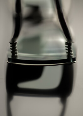 Gedvilė Tamošiūnaitė