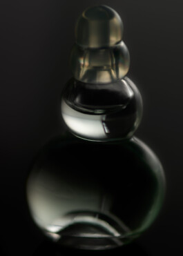 Gedvilė Tamošiūnaitė