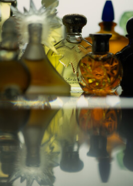 Gedvilė Tamošiūnaitė