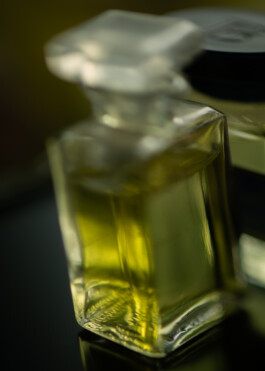 Gedvilė Tamošiūnaitė