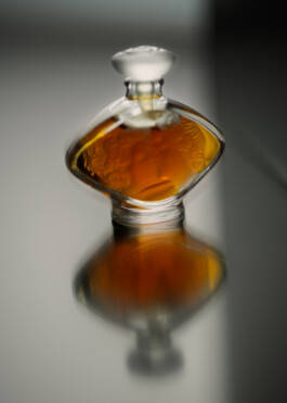 Gedvilė Tamošiūnaitė