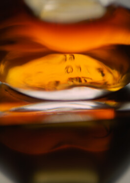 Gedvilė Tamošiūnaitė