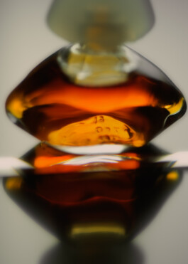 Gedvilė Tamošiūnaitė